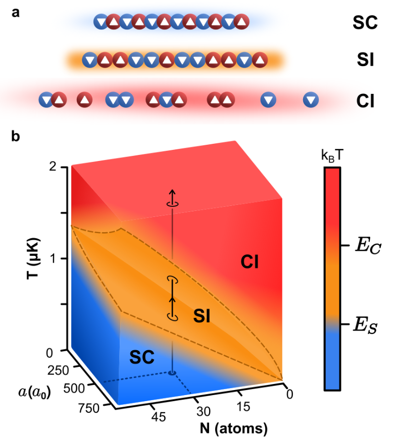 New Paper on the spin-incoherent Luttinger Liquid!